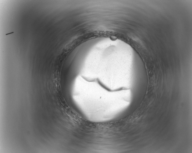 X0000068750870200605121607