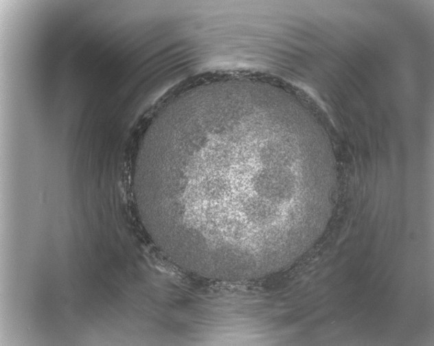 X0000068750871200605121607