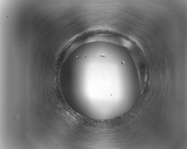 X0000068750872200605121607