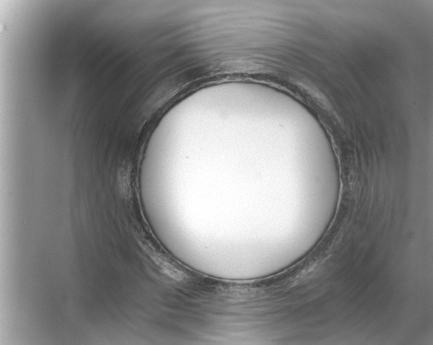 X0000068750873200605121607