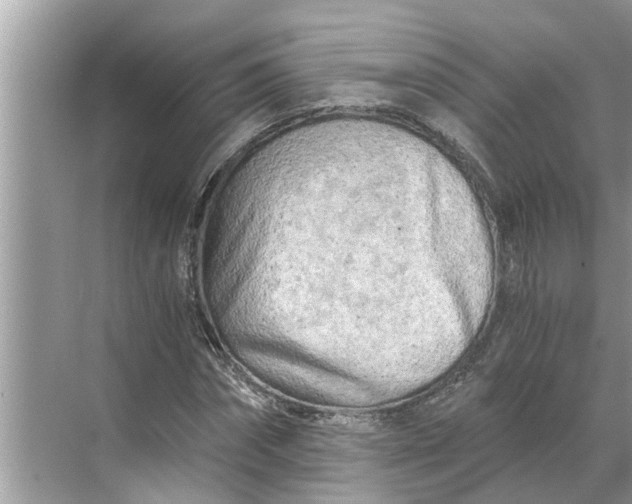 X0000068750874200605121607