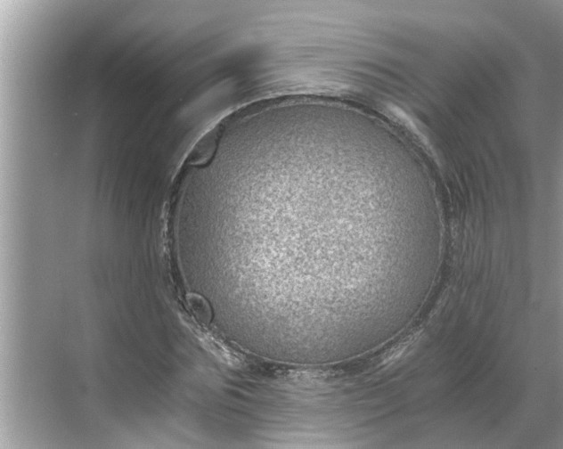 X0000068750875200605121607