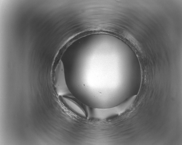 X0000068750876200605121607