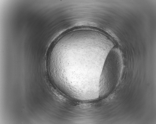 X0000068750877200605121607