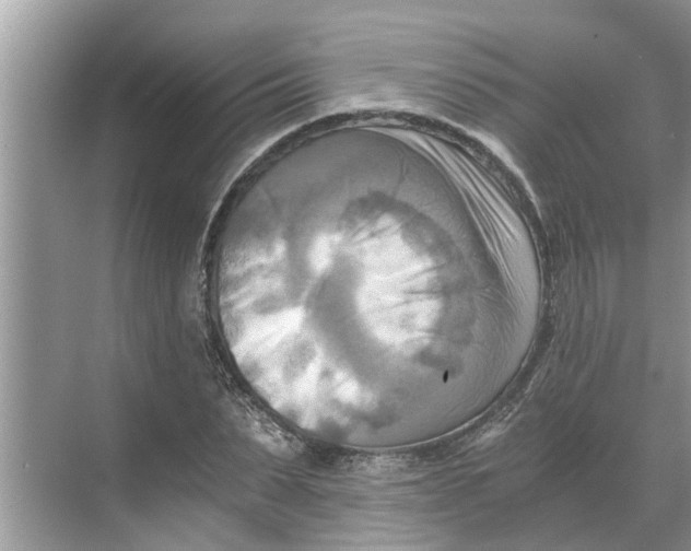 X0000068750879200605121607