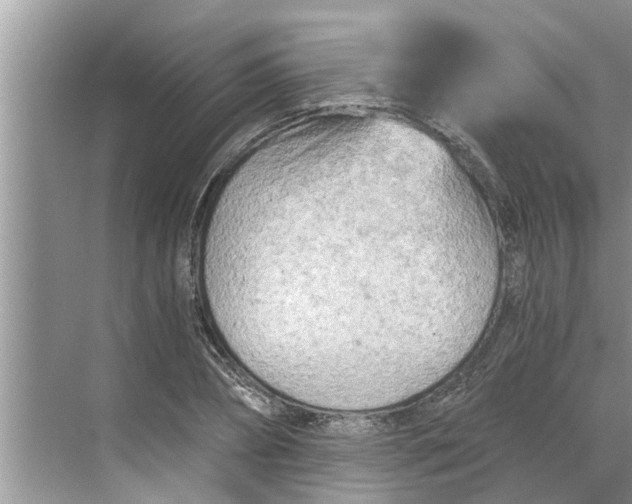 X0000068750882200605121607