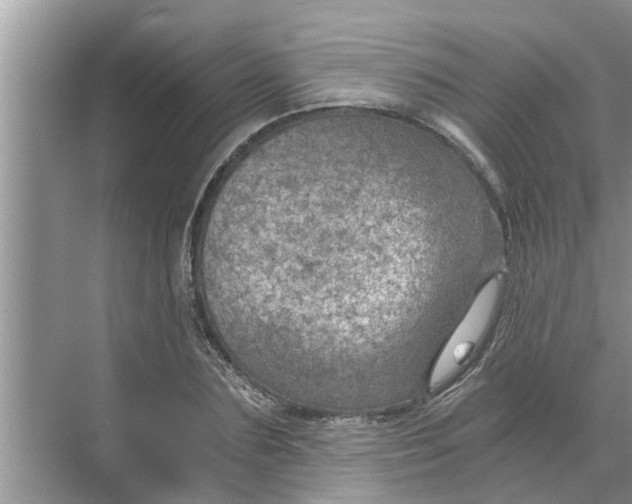 X0000068750883200605121607