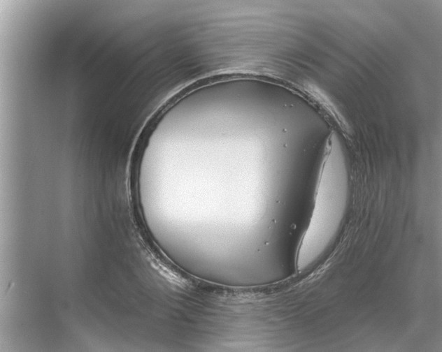 X0000068750884200605121607