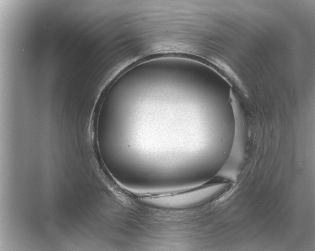 X0000068750885200605121607