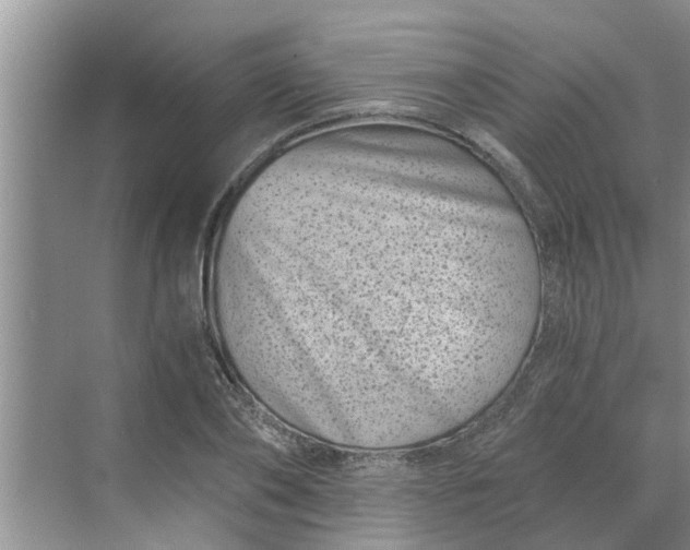 X0000068750886200605121607