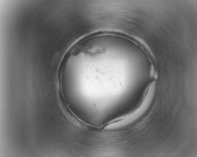 X0000068750887200605121607