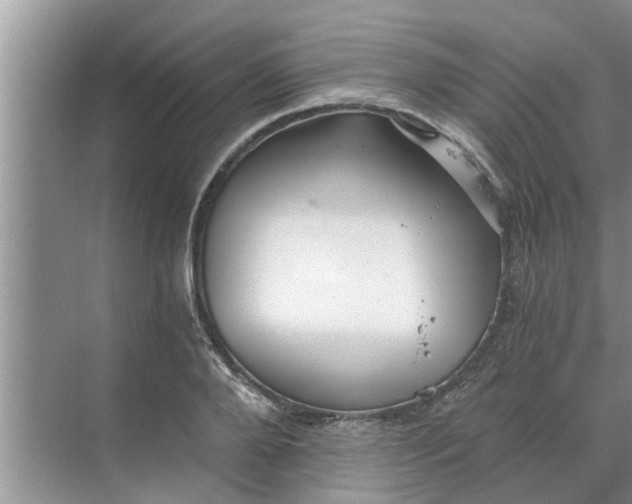 X0000068750888200605121607