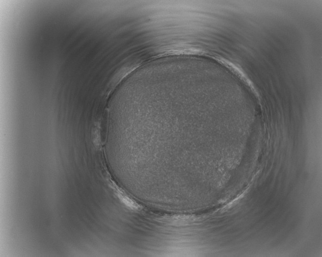 X0000068750889200605121607