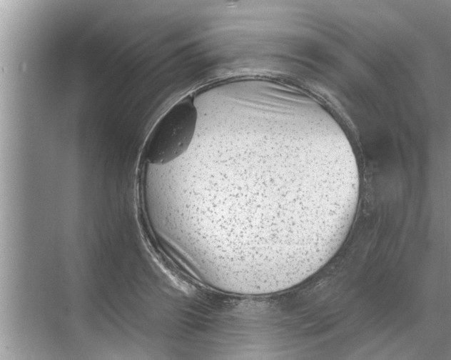 X0000068750890200605121607