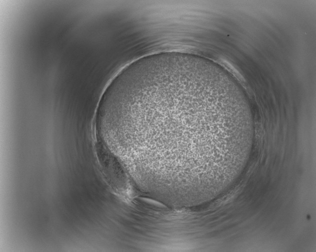 X0000068750891200605121607