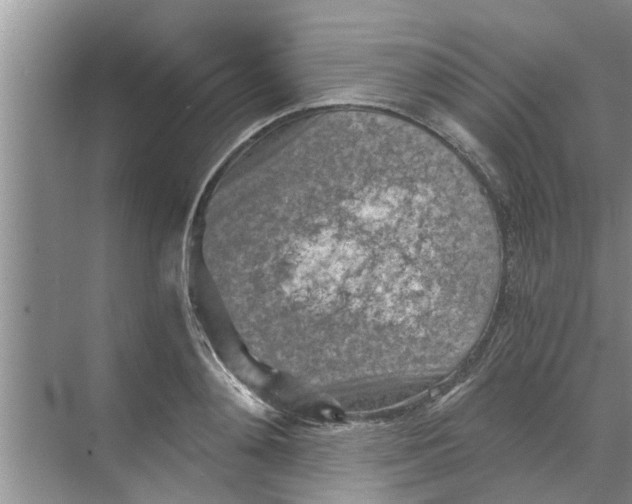 X0000068750892200605121607