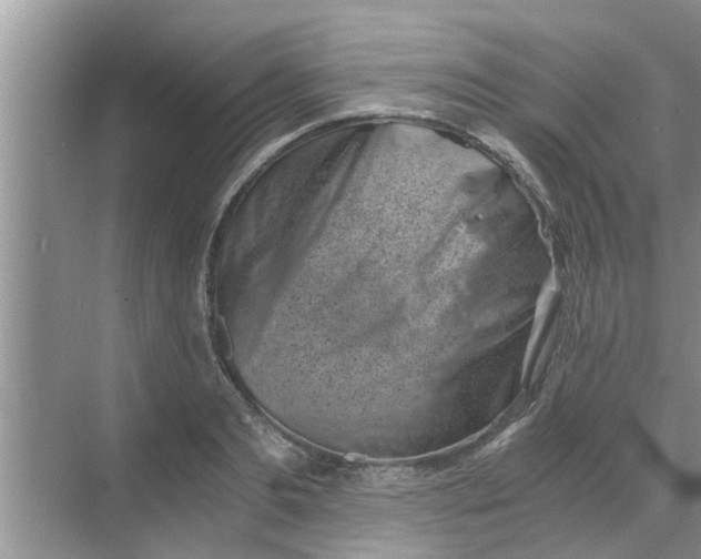 X0000068750893200605121607