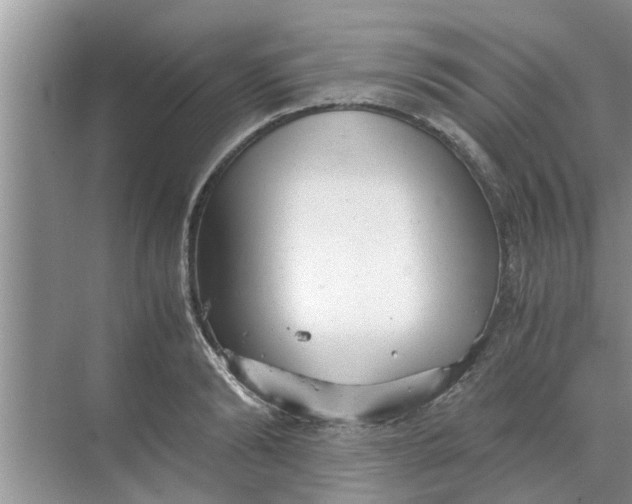 X0000068750894200605121607