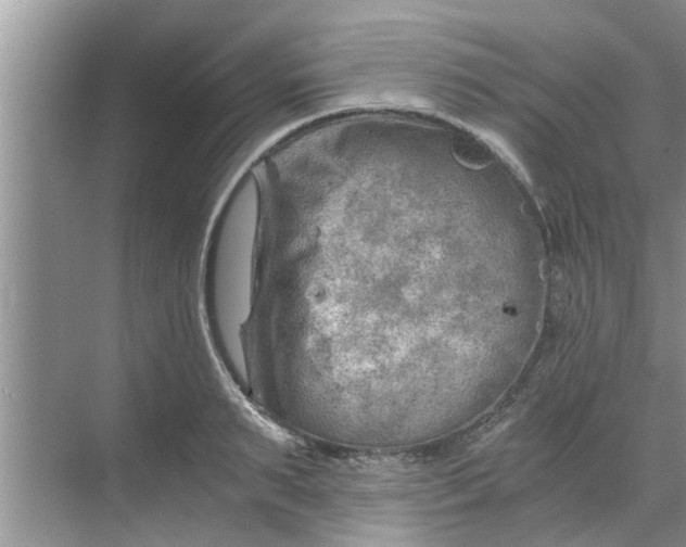 X0000068750895200605121607