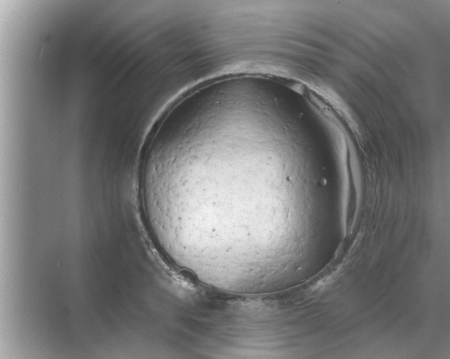 X0000068750896200605121607