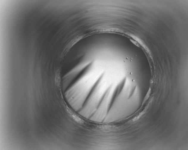 X0000068750897200605121607