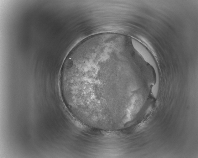 X0000068750899200605121607