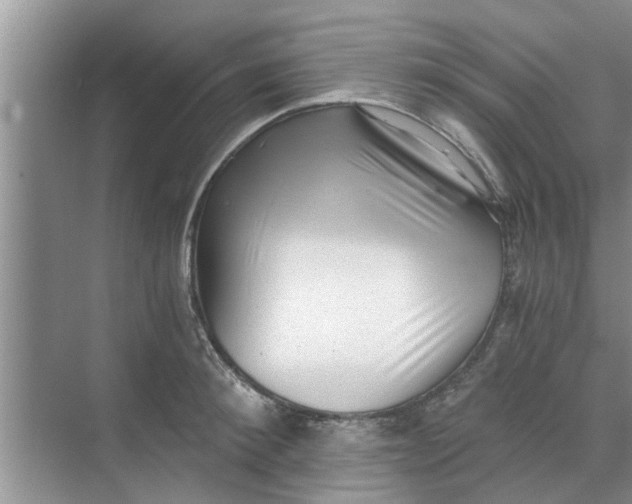 X0000068750900200605121607