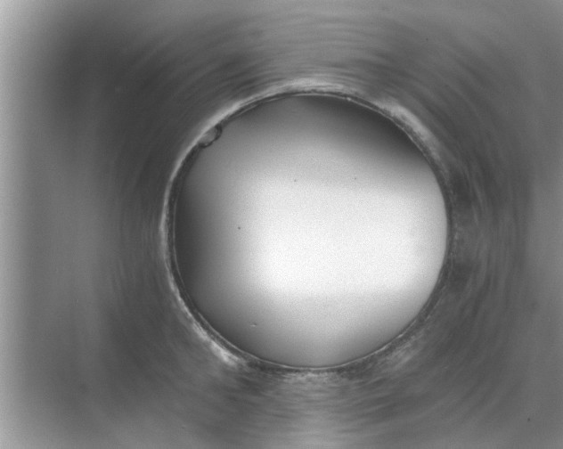 X0000068750902200605121606