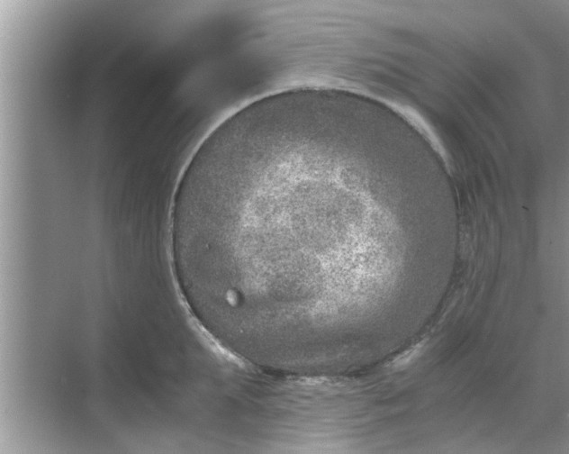 X0000068750903200605121606