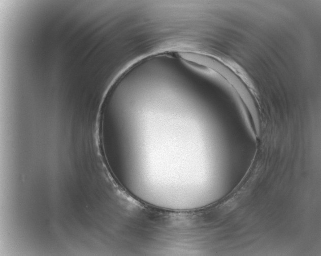 X0000068750904200605121606