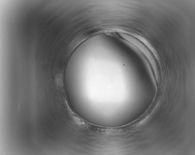 X0000068750905200605121606