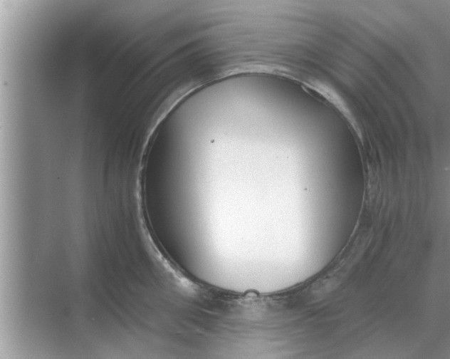 X0000068750906200605121606