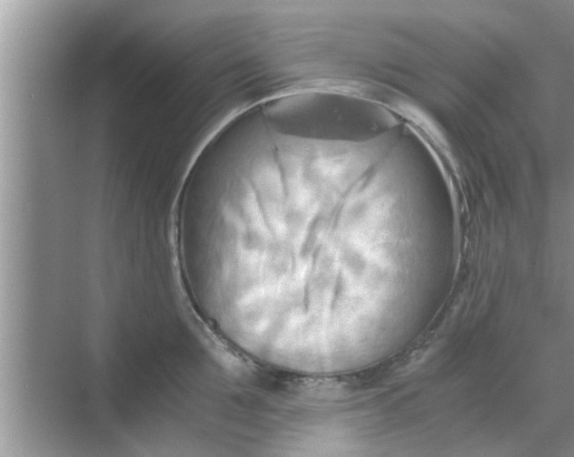 X0000068750907200605121606