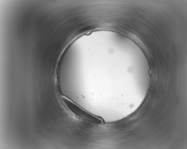 X0000068750908200605121606