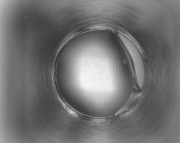 X0000068750909200605121606