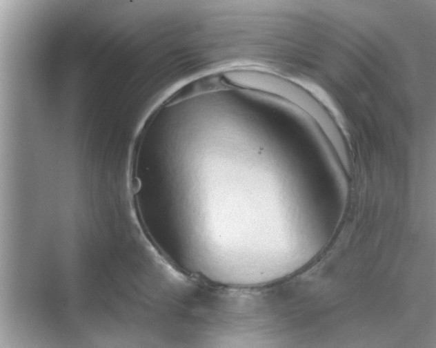 X0000068750910200605121606