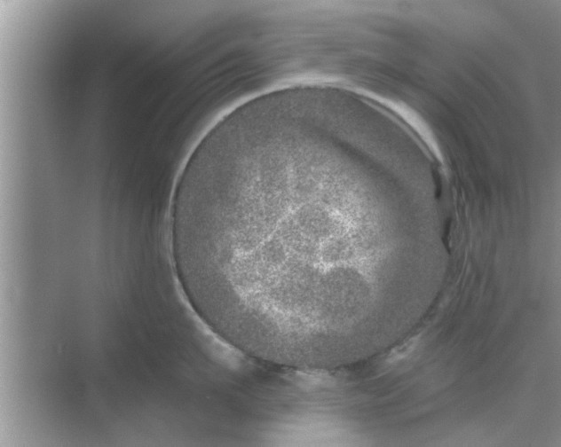 X0000068750911200605121606