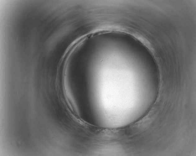 X0000068750912200605121606