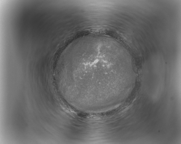 X0000068750913200605121606