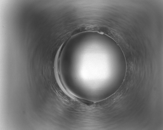 X0000068750914200605121606