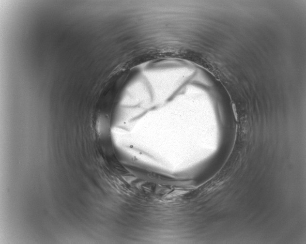 X0000068750916200605121606