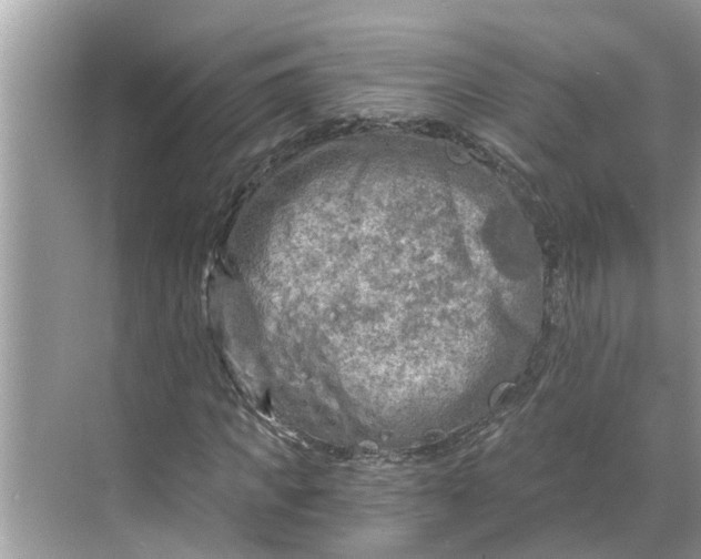 X0000068750917200605121606