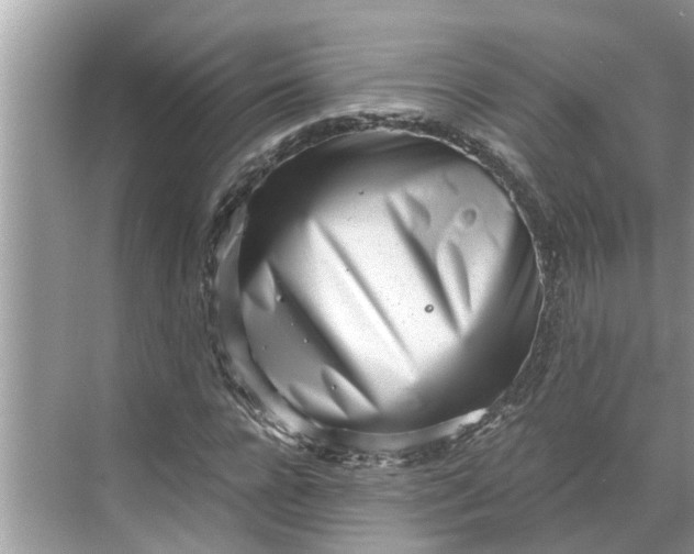 X0000068750920200605121606