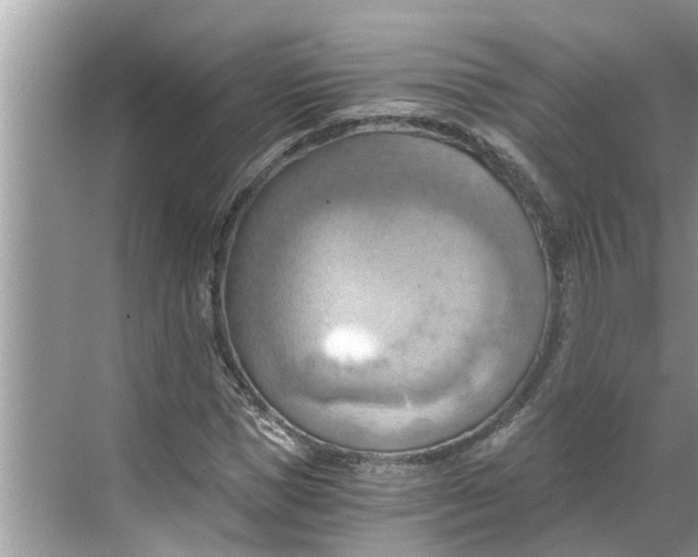 X0000068750921200605121606