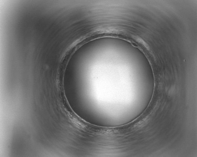 X0000068750922200605121606