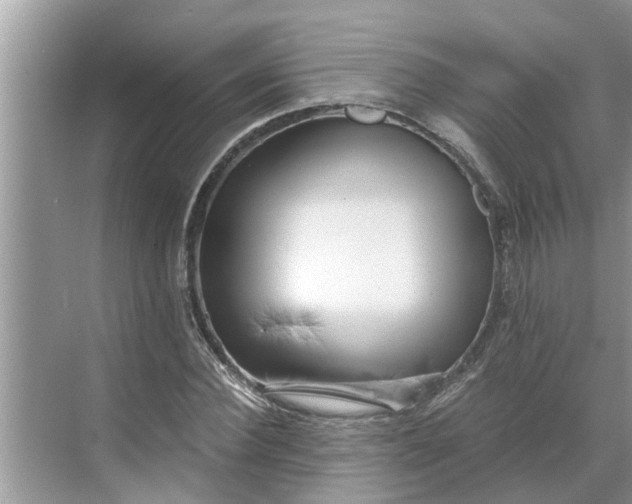 X0000068750924200605121606