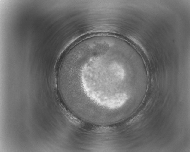 X0000068750925200605121606