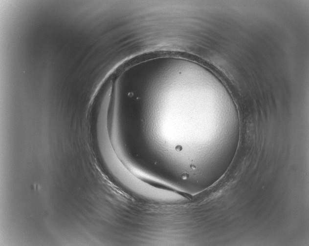 X0000068750926200605121606