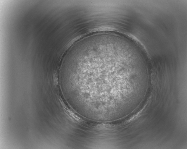 X0000068750929200605121606