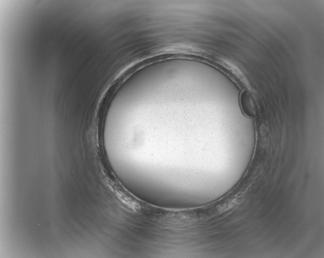 X0000068750931200605121606